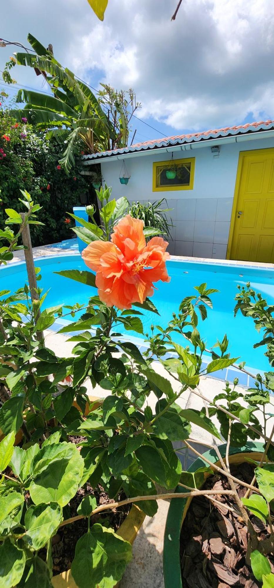 Mandala Dreams Pousada E Portal Holistico Maceió Exterior foto