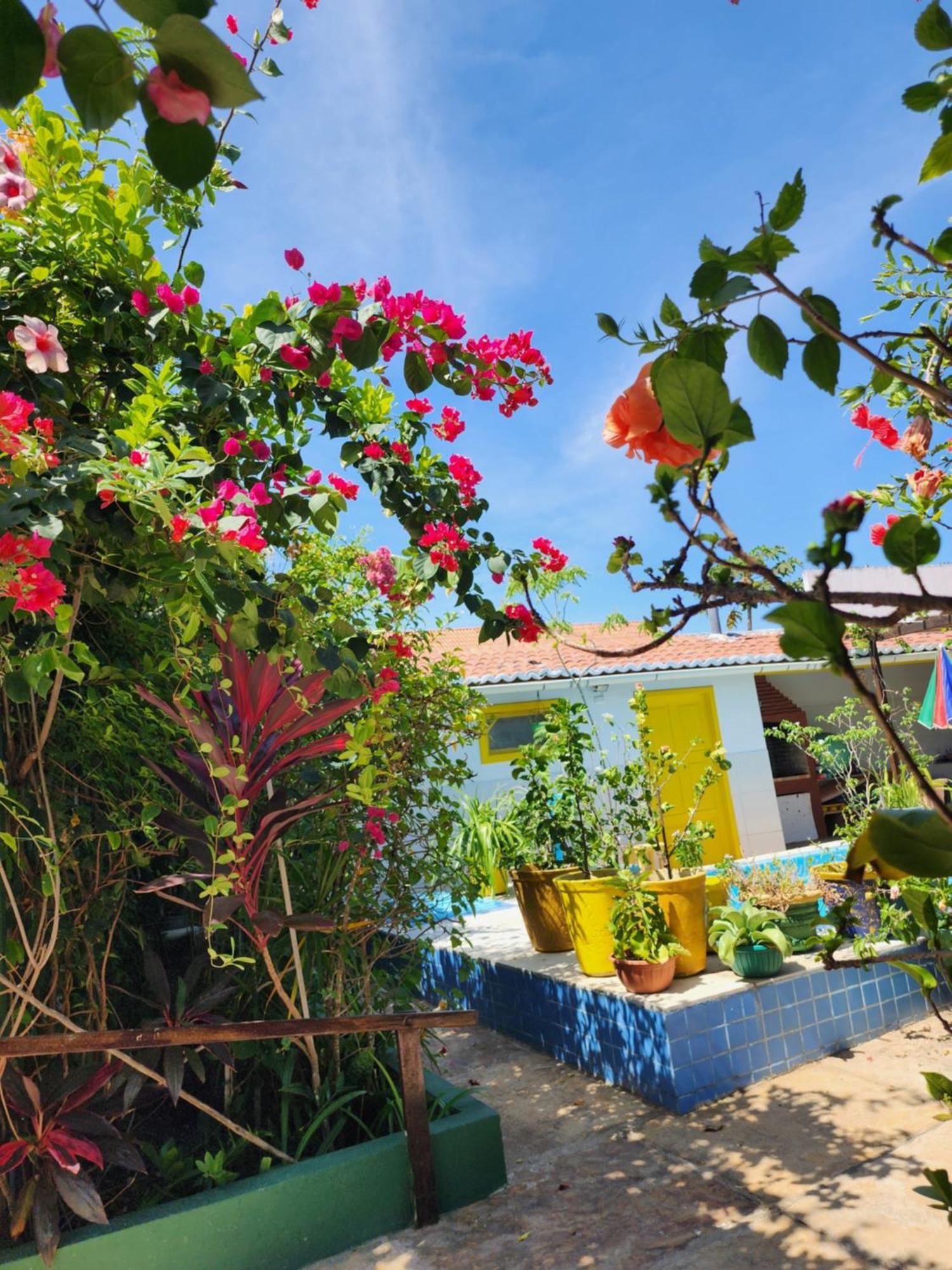 Mandala Dreams Pousada E Portal Holistico Maceió Exterior foto
