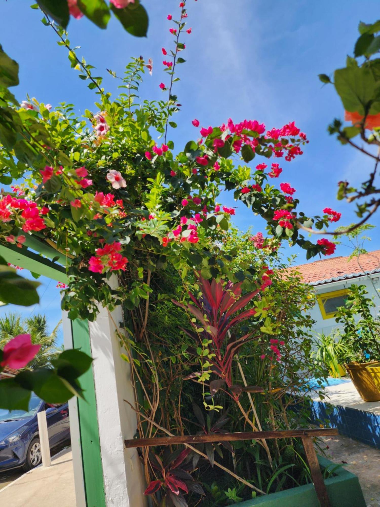 Mandala Dreams Pousada E Portal Holistico Maceió Exterior foto